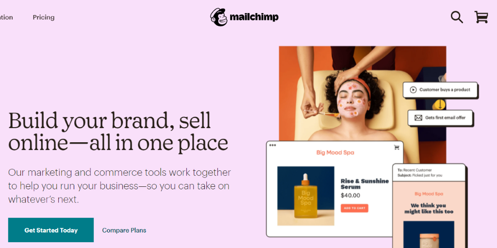 mailchimp キャプチャ