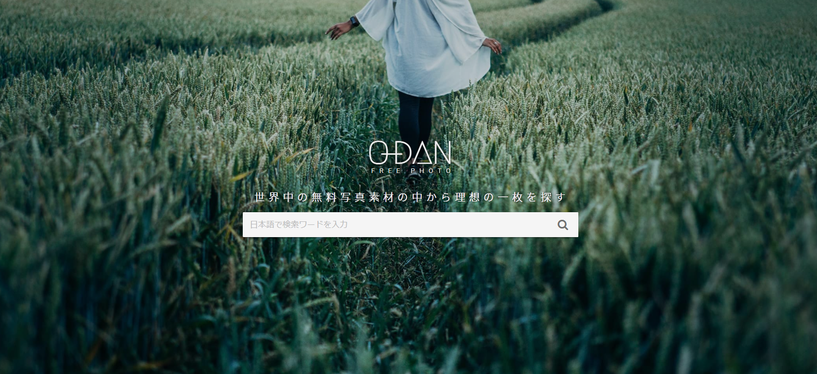 O-DAN キャプチャ